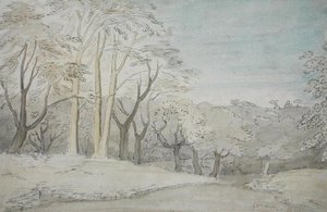 Un Paisaje Boscoso, c.1801 de William Blake